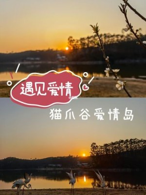 遇见爱情岛剧情简介