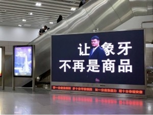 野生救援联合虎童科技地铁大屏媒体，呼吁拯救濒危野生动物