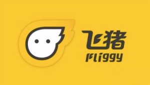 飞猪湖北相关航线已注册超百条机票预定翻倍
