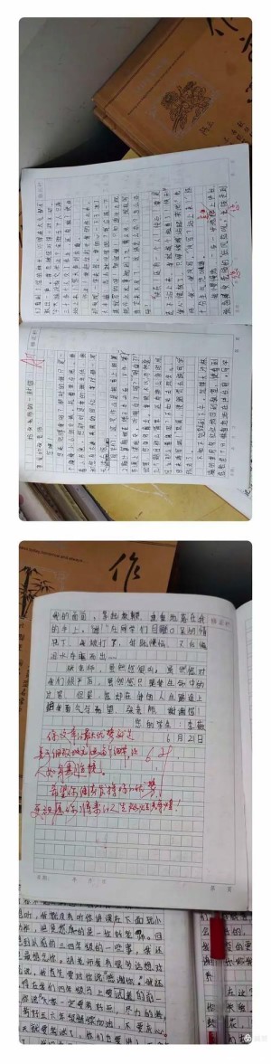 桂花弄的钟声剧情简介