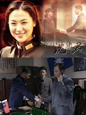 深度潜伏分集详细介绍21-30集