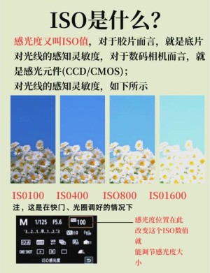 应该怎样设置ISO 善用高感光度的摄影方法和技巧【详细介绍】