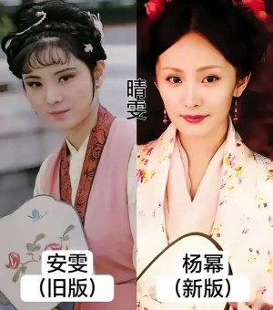 新版红楼梦分集详细介绍41-50集
